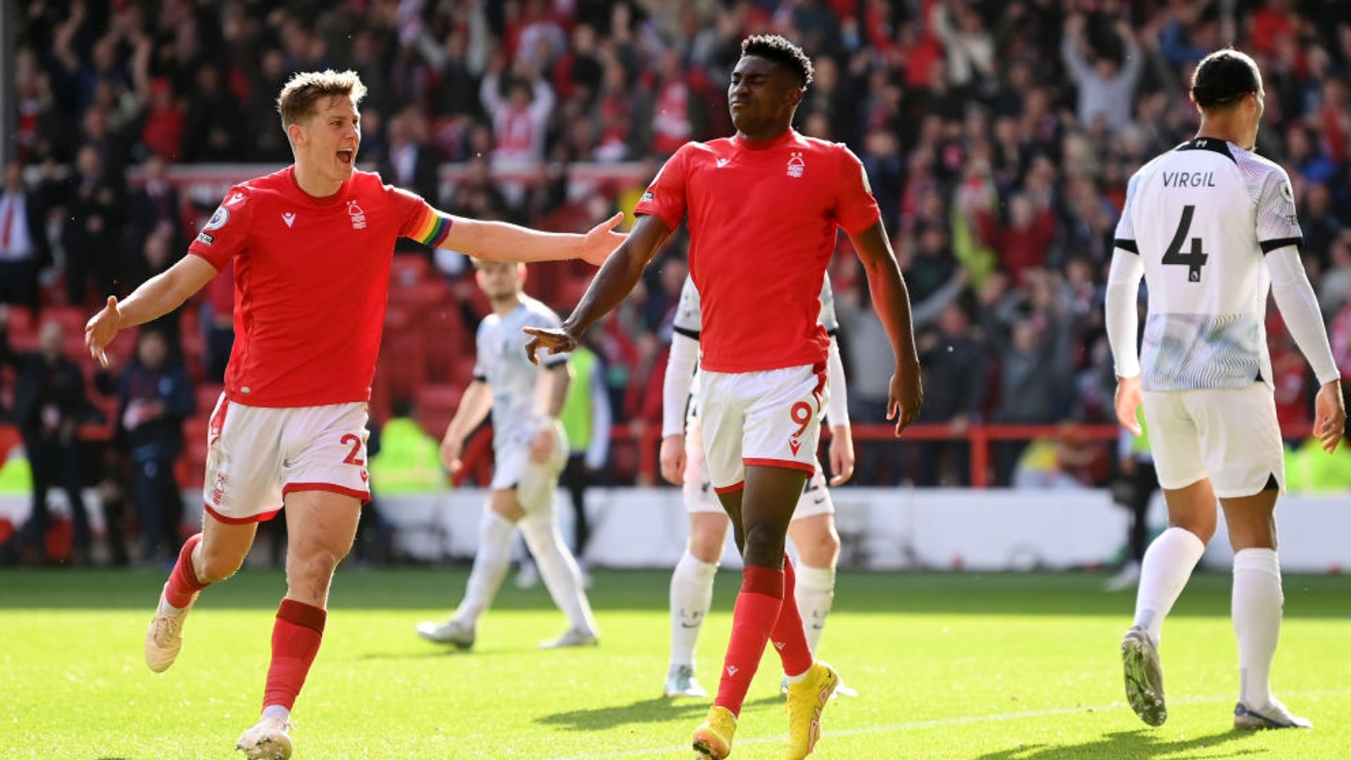 性选择下 性选择下